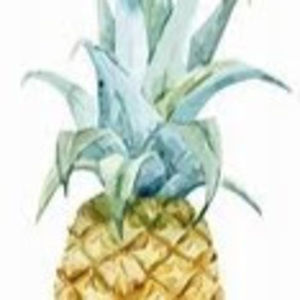 Meet your Posher, Sydney